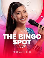 The Bingo Spot